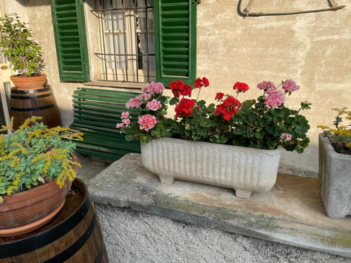 The Montevecchia Home - Frida Apartment Exterior photo